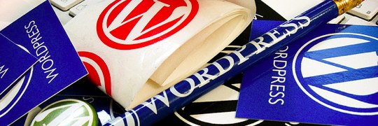 wordpress-db-backup-01